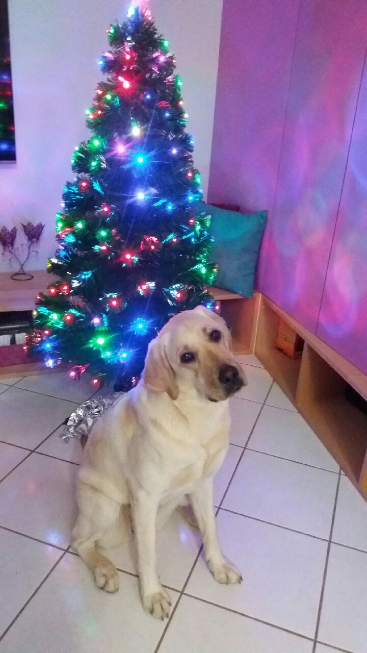 decembre 2020.jpeg